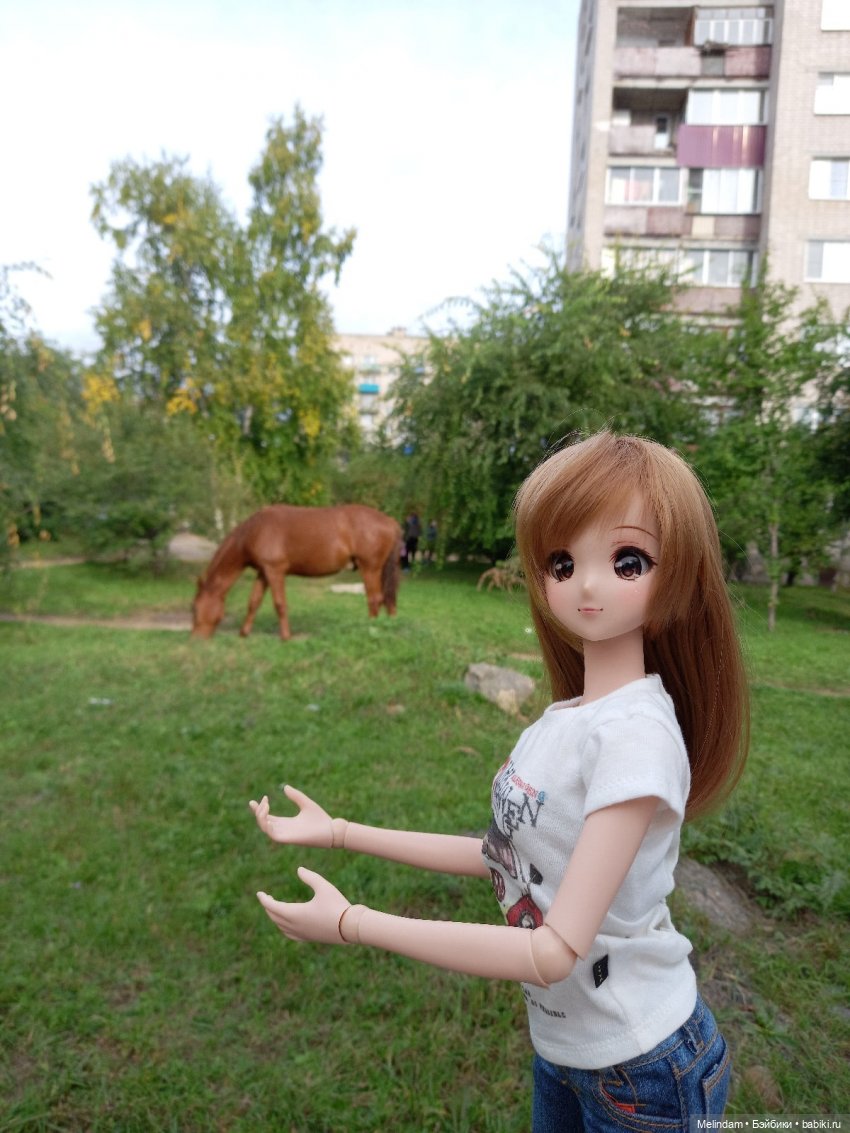 Дневники Mirai (Smart Doll) - часть 4 - Куклы Smart Doll - Смарт долл |  Бэйбики - 239180