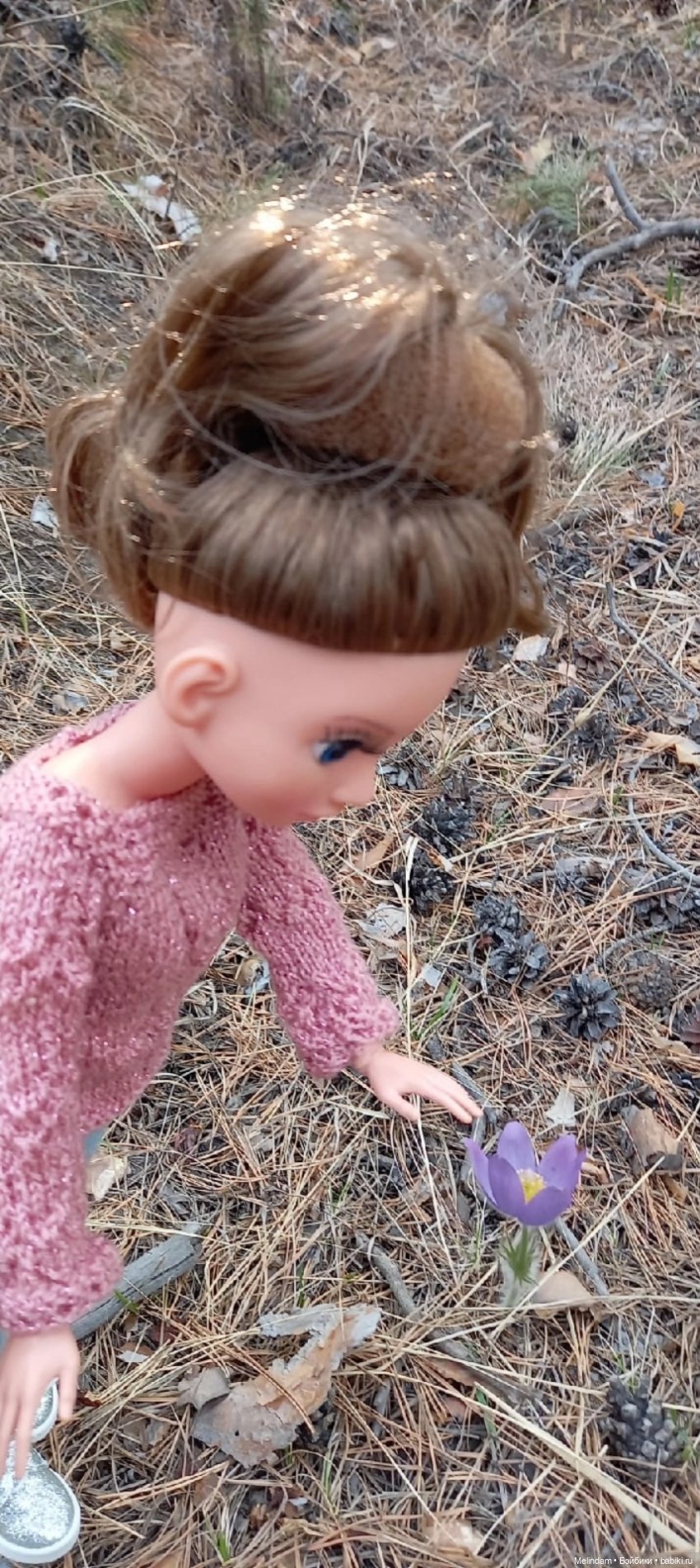 Мирэя - прогулка в весеннем лесу