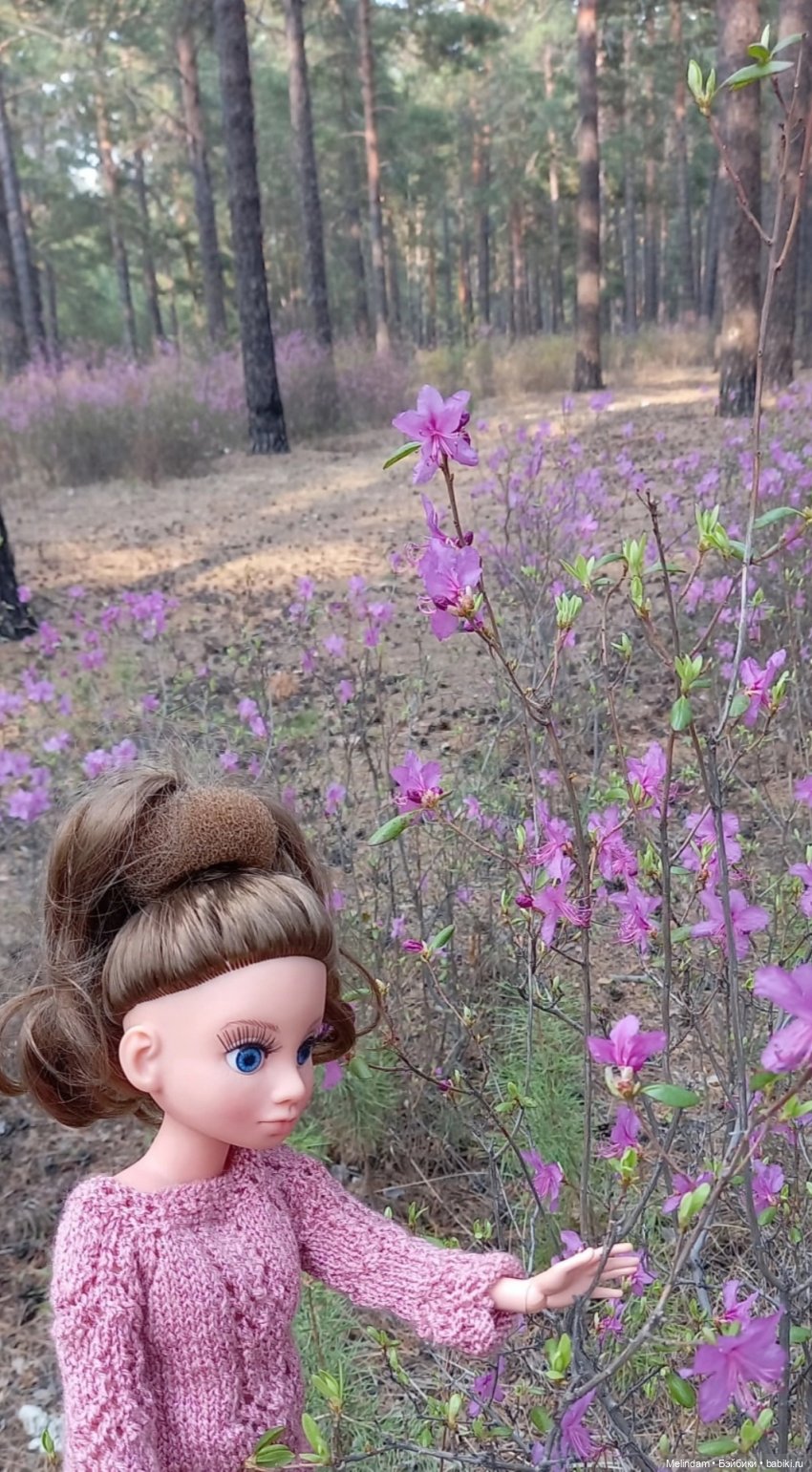 Мирэя - прогулка в весеннем лесу (фото 10)