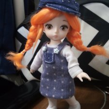 Карманный житель. Баболики