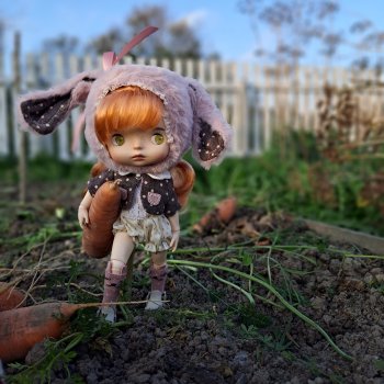 Осенние хлопоты.