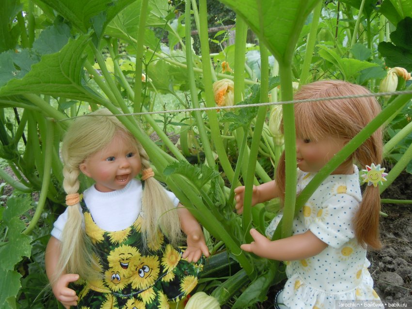 Вихтель,кабачок