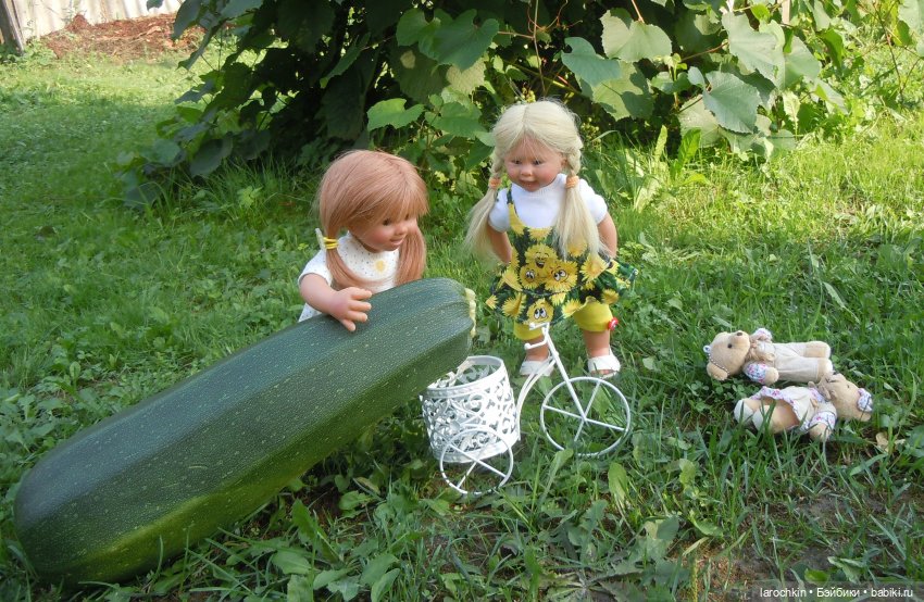 Вихтель,кабачок,велосипед