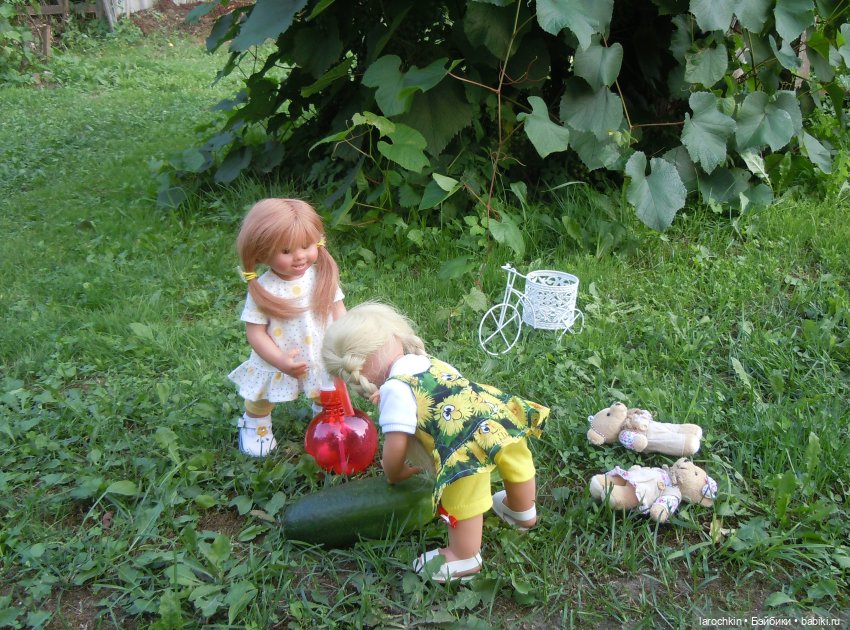 Вихтель,кабачок