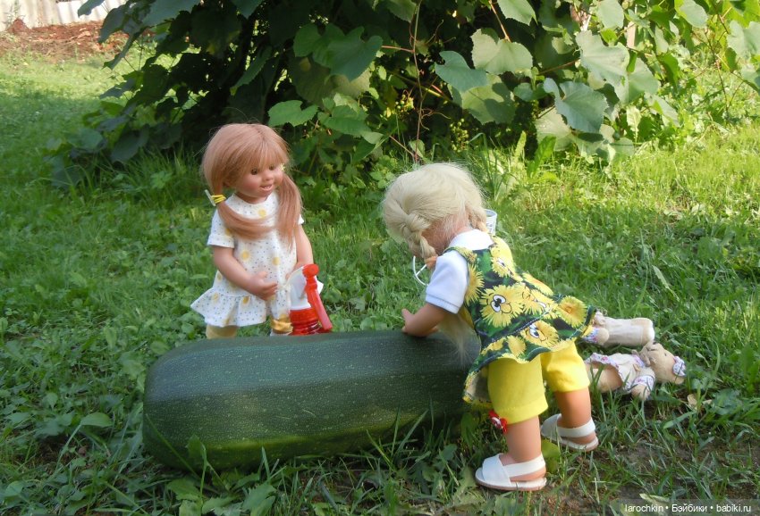 Вихтель,кабачок,распылитель