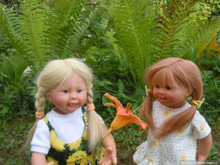 Вихтель,дача,огород