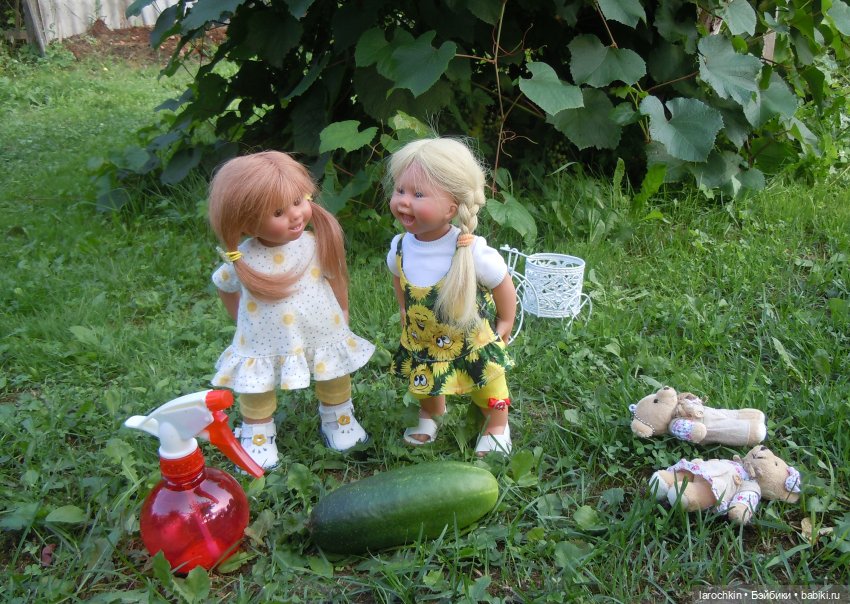 Вихтель,огурец