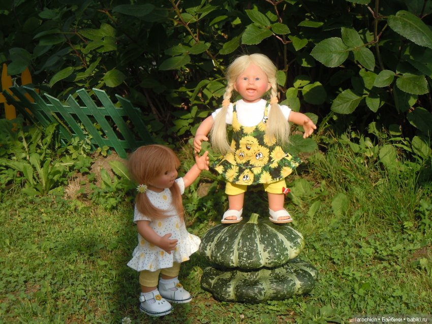 Вихтель,патиссон