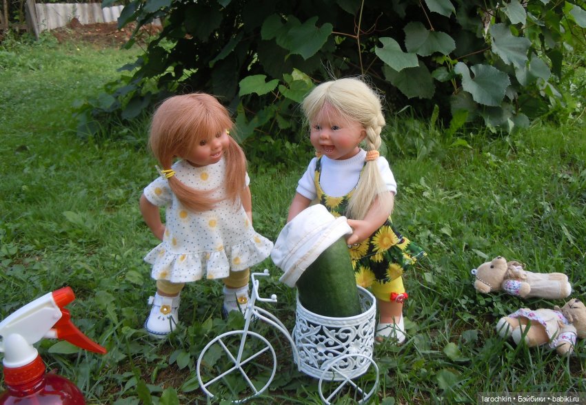 Вихтель,огурец,велосипед,шляпка