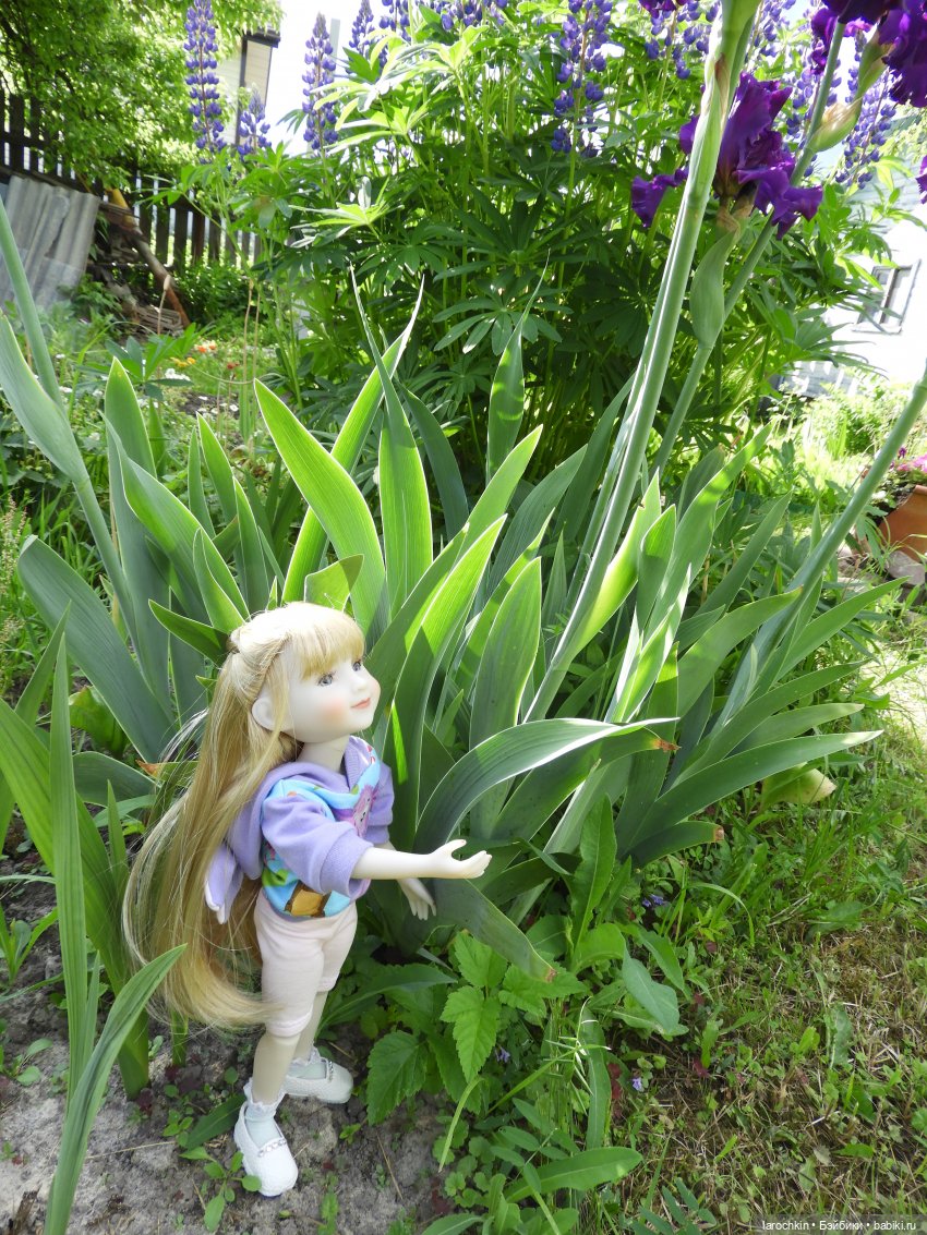 Руби Ред,пионы