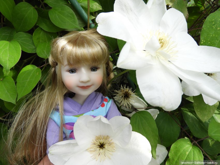 Руби Ред,клематис