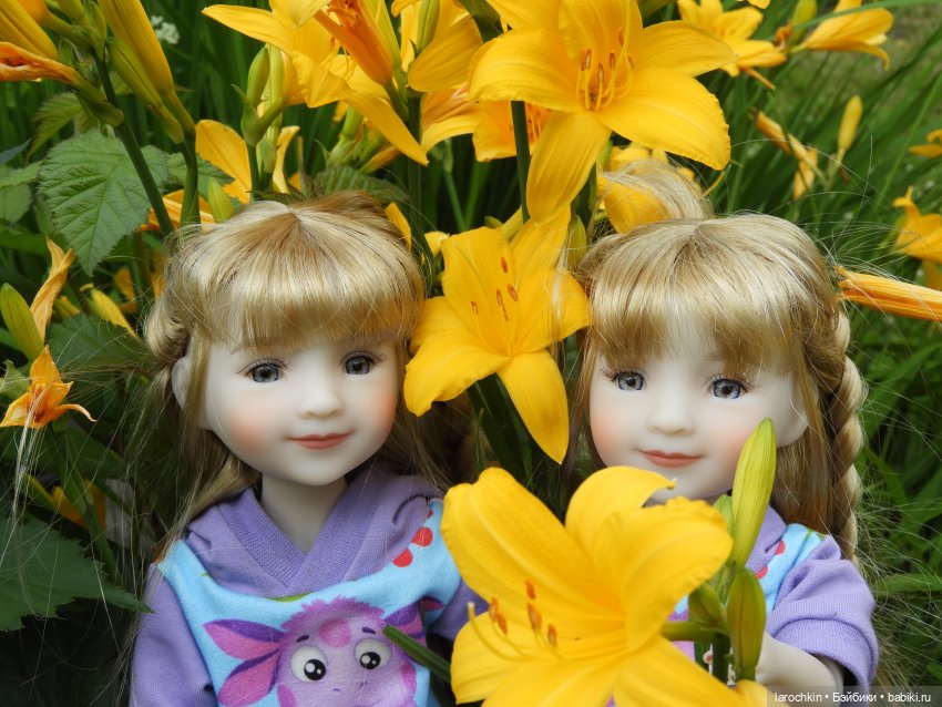 Руби Ред,лилейник