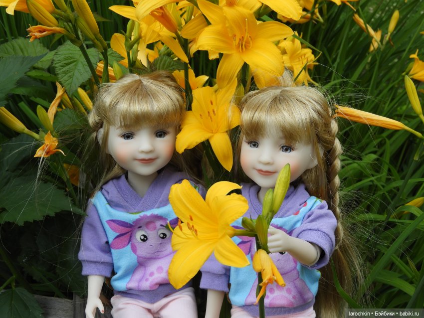 Руби Ред,лилейник