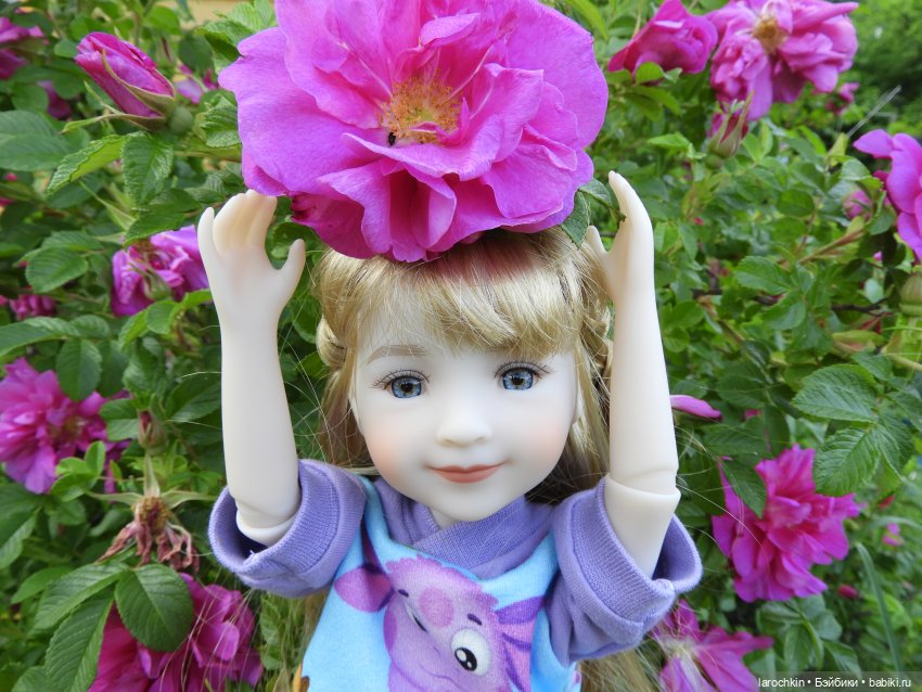 Руби Ред,шиповник