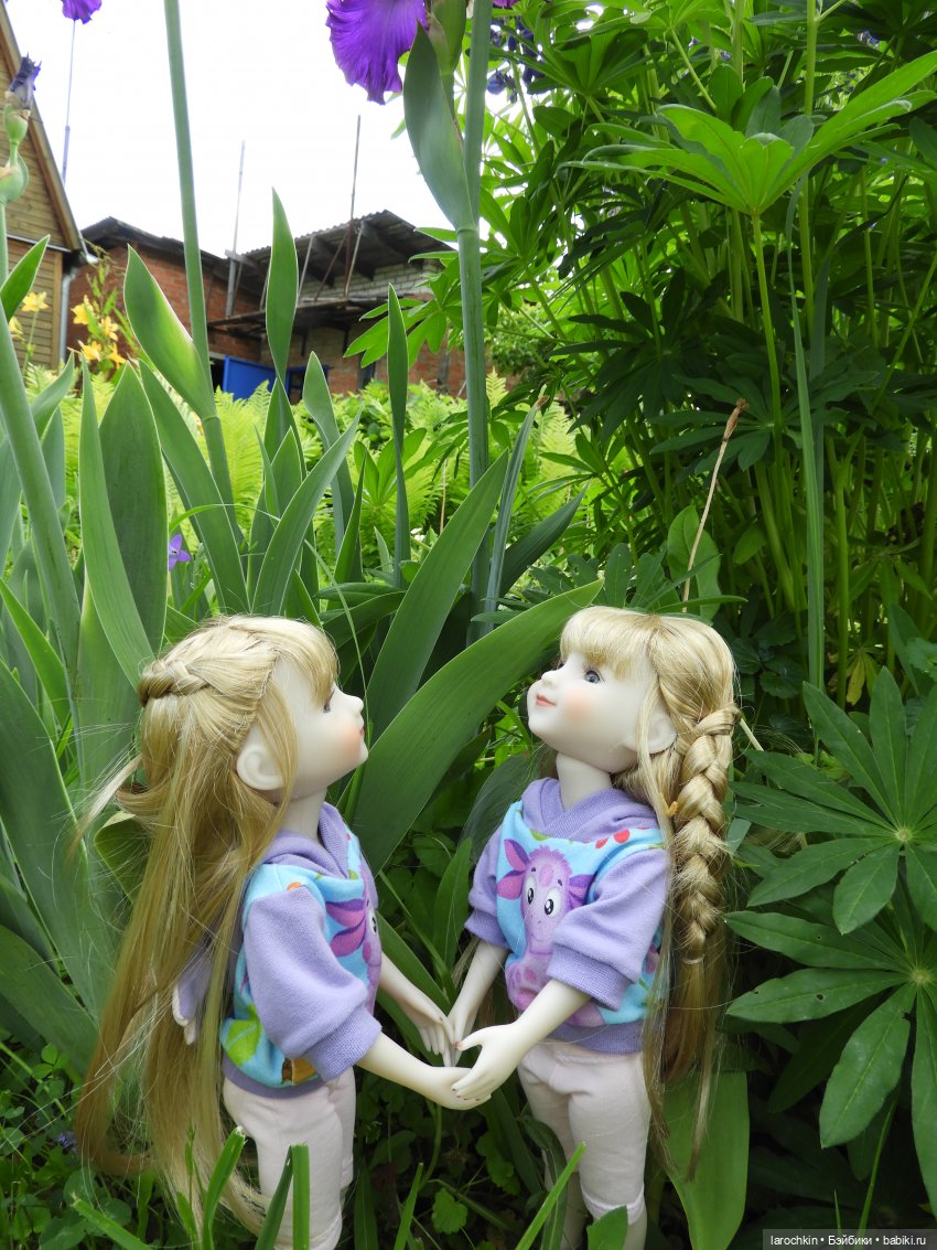 Руби Ред,пионы