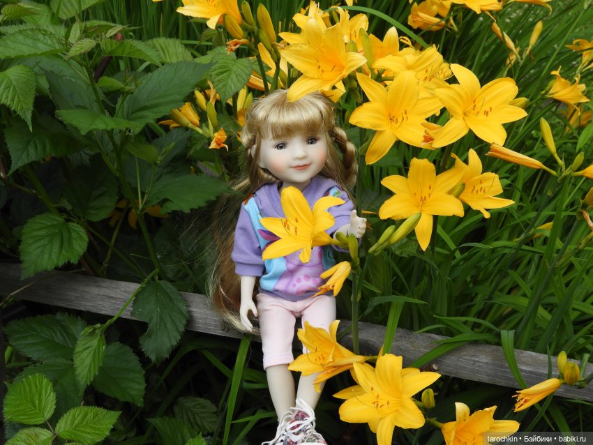 Руби Ред,лилейник