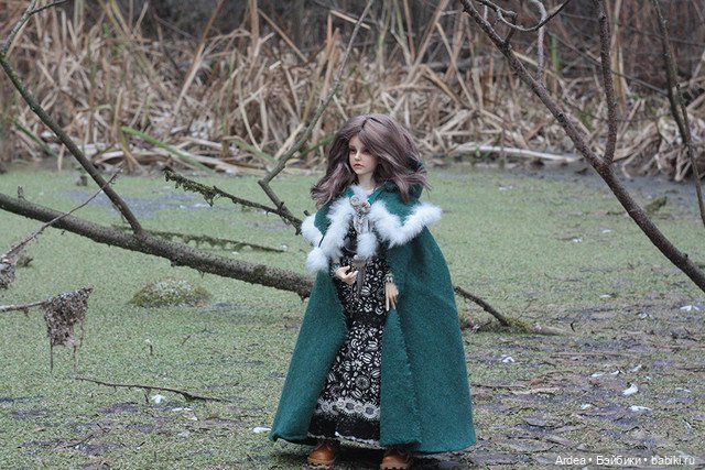 Лесная куница | Бэйбики Лесная куница — Куклы Iplehouse (Иплхаус): BJD (БЖД)