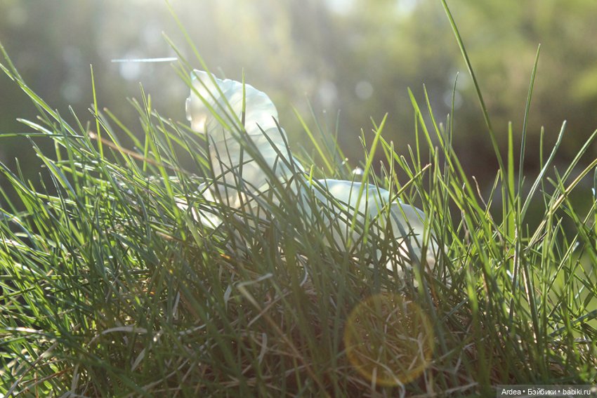 Немного микробиологии в кукольном мире: тихоходка (фото 2)