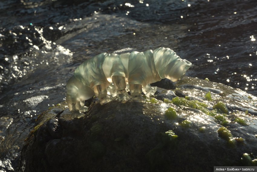 Немного микробиологии в кукольном мире: тихоходка