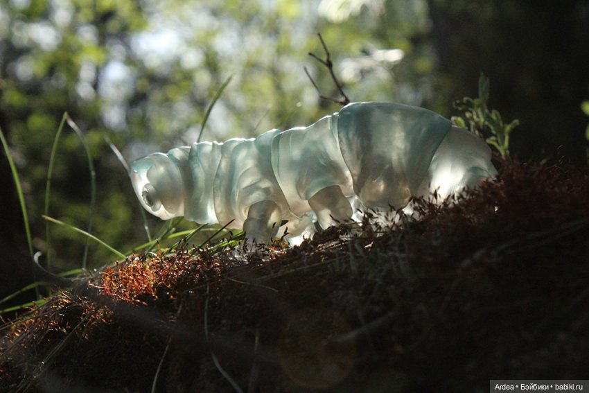 Немного микробиологии в кукольном мире: тихоходка (фото 5)