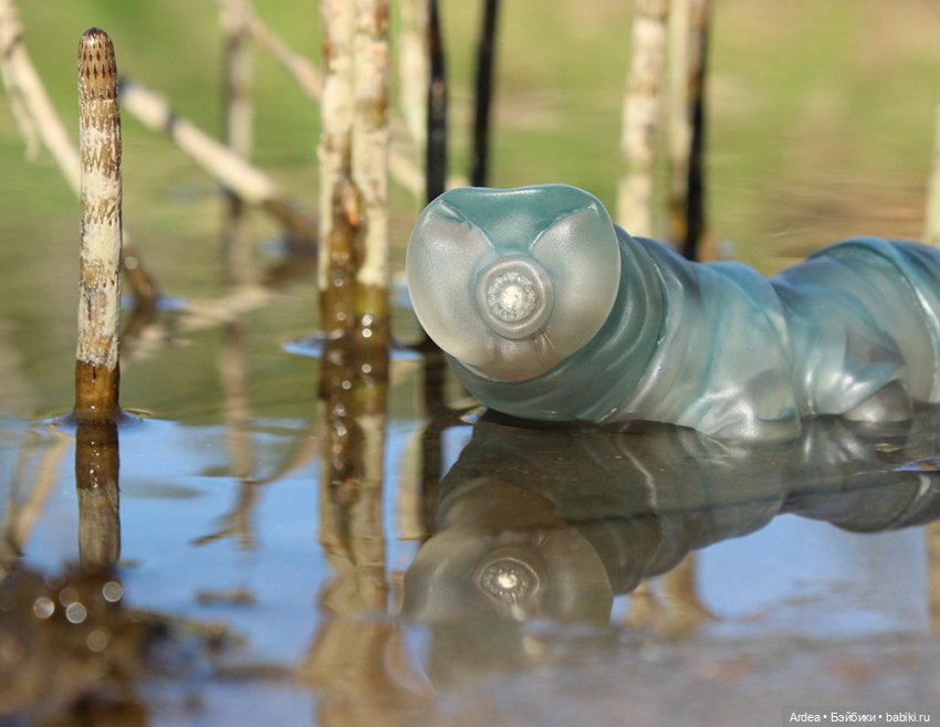 Немного микробиологии в кукольном мире: тихоходка (фото 4)