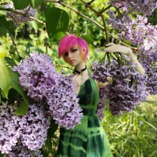 Ксил в цветах майской зелени