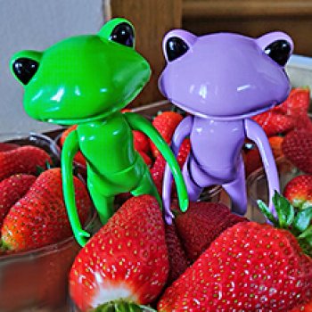 Лягушки Wanda и Milka от Studio-uoo. Несерьёзный обзор