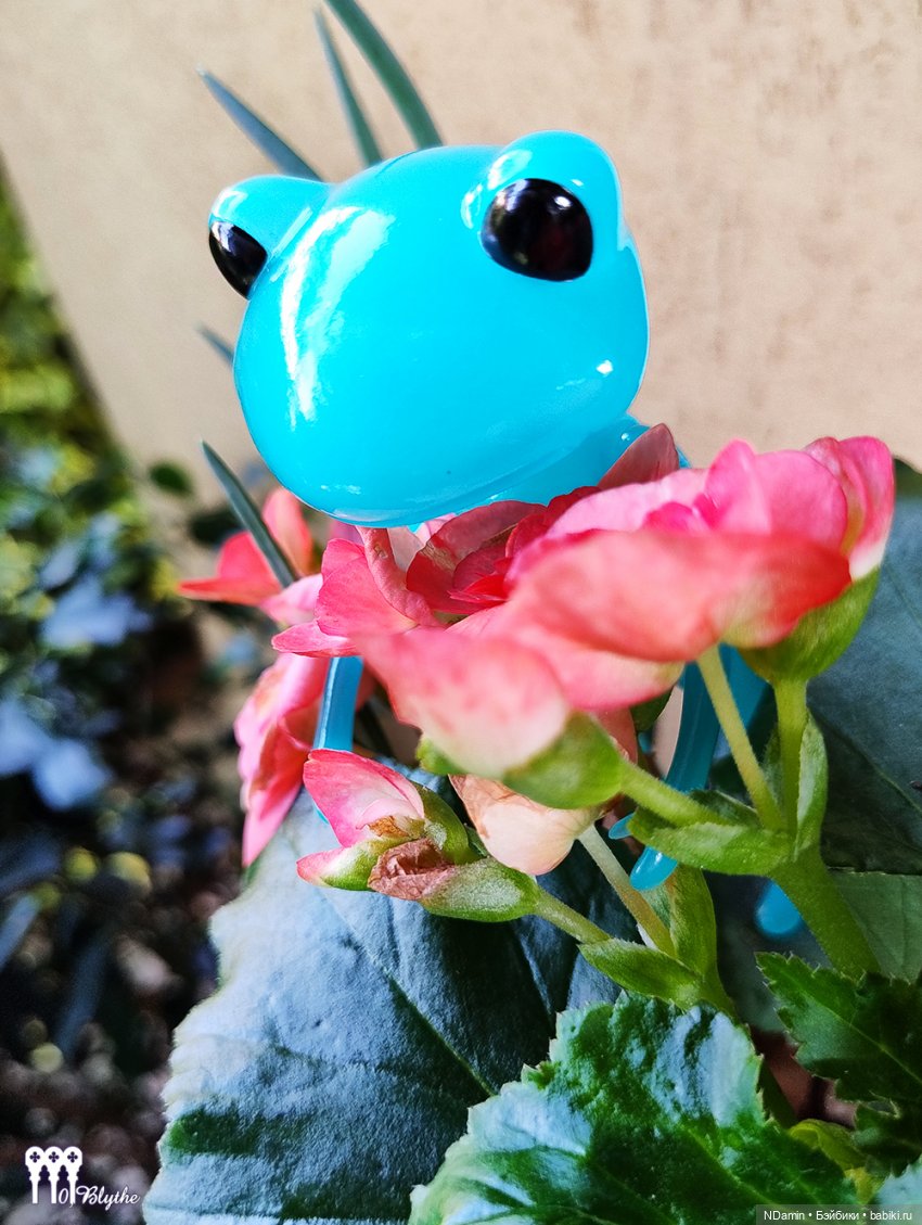Принц-лягушка (бирюзовая лягушка и Блайз петит) (фото 4)