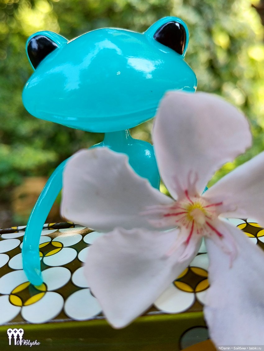 Принц-лягушка (бирюзовая лягушка и Блайз петит)