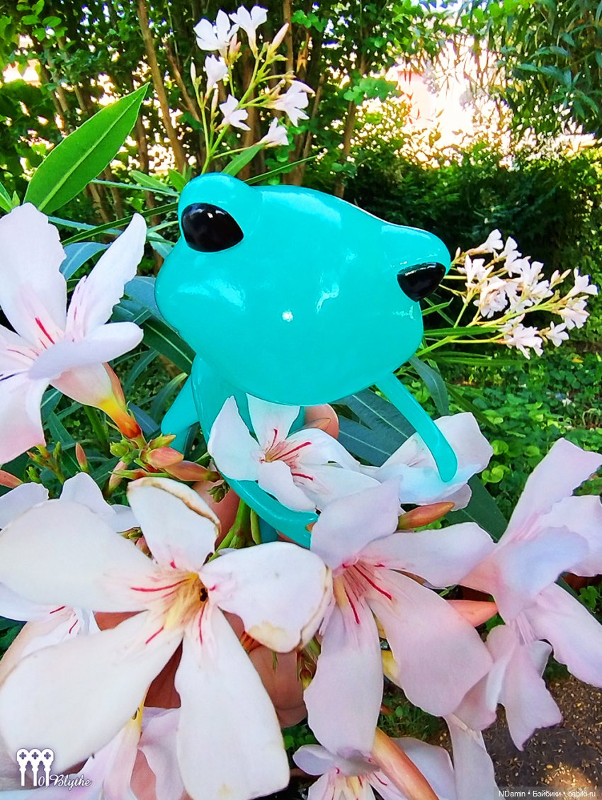 Принц-лягушка (бирюзовая лягушка и Блайз петит) (фото 5)