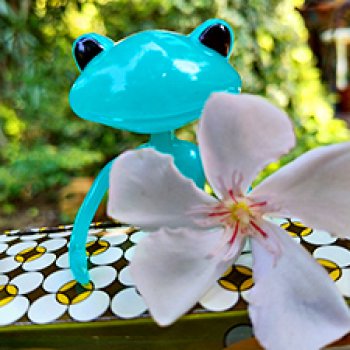 Принц-лягушка (бирюзовая лягушка и Блайз петит)