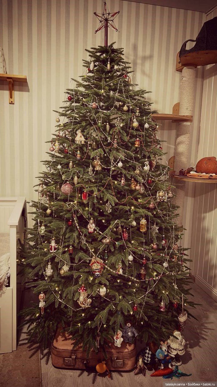 ♡ Моя новая любовь ♡ — Другие хобби и увлечения: сад (фото 5)