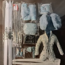 Аутфит Après-Ski Asset Poppy Parker