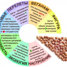 Как Каритошки к Гречневой Царице в гости ходили