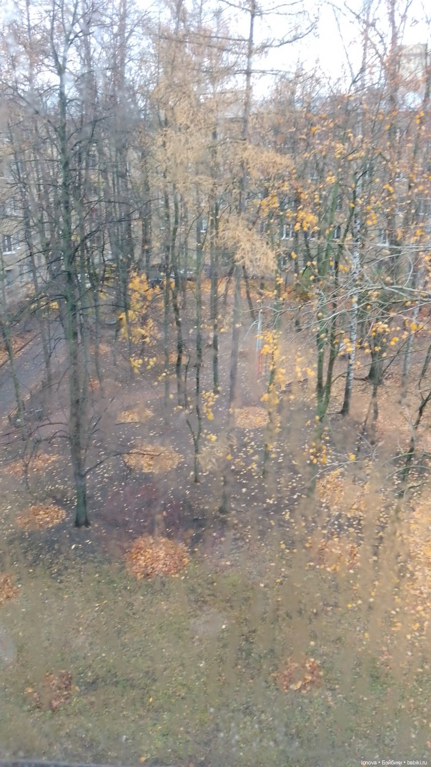 Ноябрь в Санкт-Петербурге