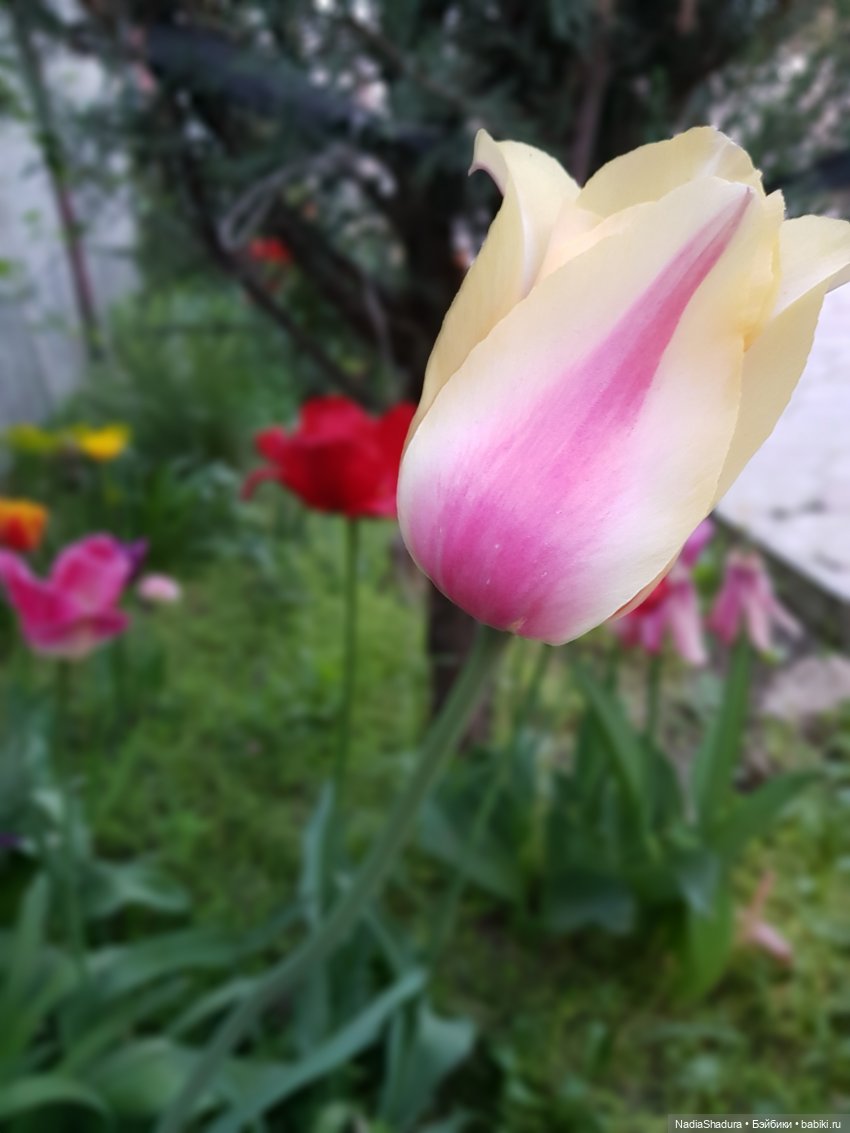 С прекрасным майским днём и замечательной погодой! Антикварная кукла Gebrüder Kühnlenz, 44-26 dep