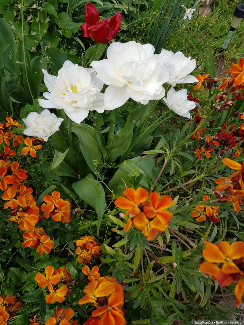 С прекрасным майским днём и замечательной погодой! Антикварная кукла Gebrüder Kühnlenz, 44-26 dep