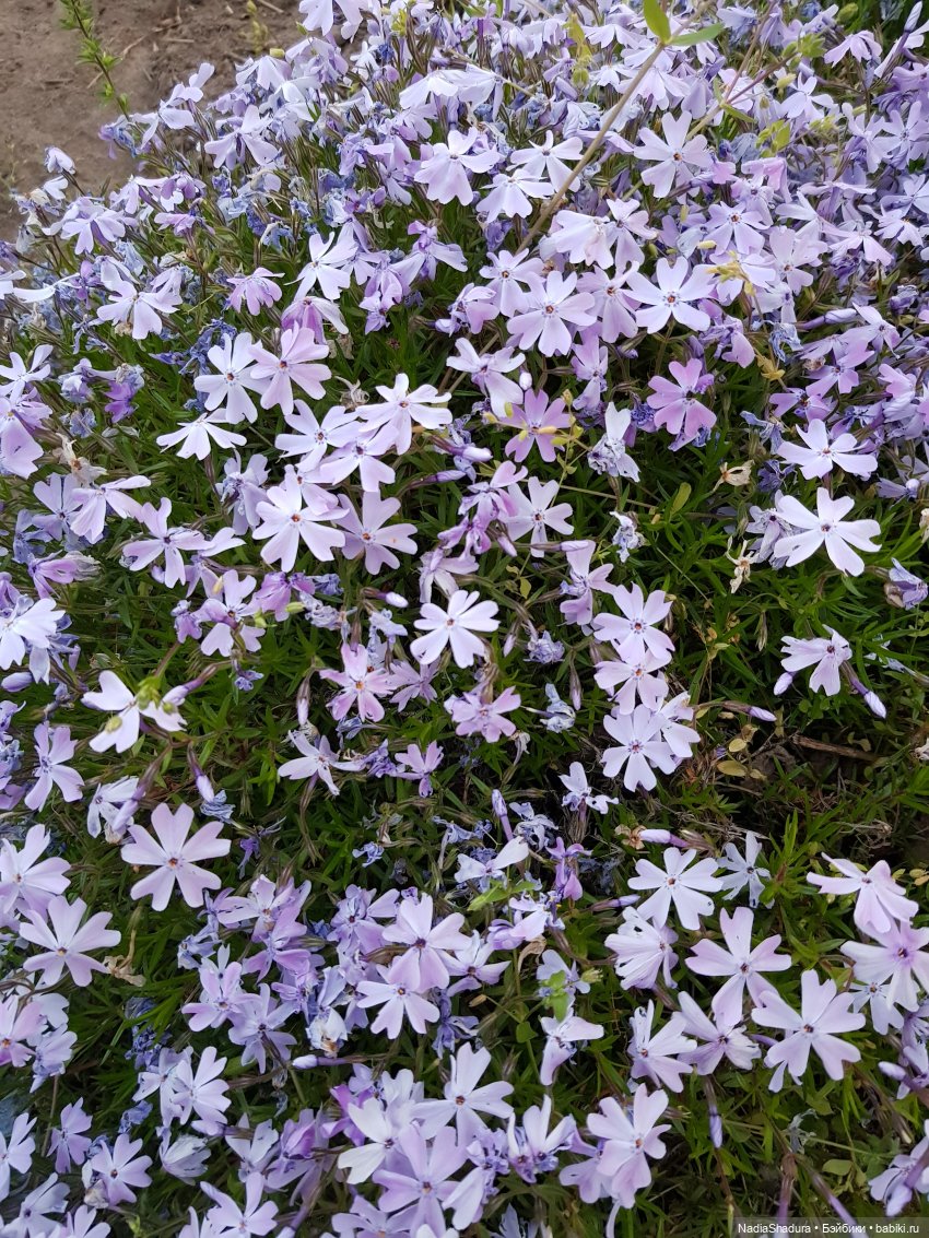 С прекрасным майским днём и замечательной погодой! Антикварная кукла Gebrüder Kühnlenz, 44-26 dep
