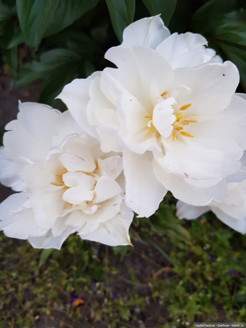 С прекрасным майским днём и замечательной погодой! Антикварная кукла Gebrüder Kühnlenz, 44-26 dep