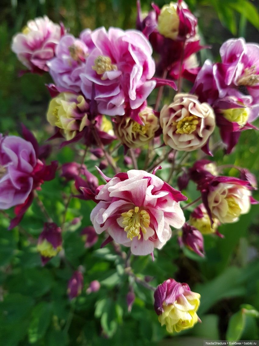 С прекрасным майским днём и замечательной погодой! Антикварная кукла Gebrüder Kühnlenz, 44-26 dep