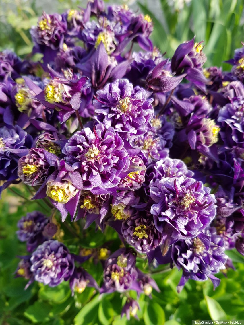 С прекрасным майским днём и замечательной погодой! Антикварная кукла Gebrüder Kühnlenz, 44-26 dep