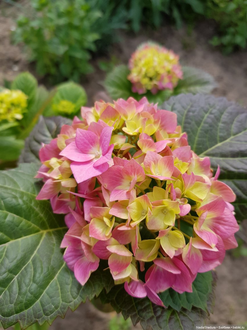 С прекрасным майским днём и замечательной погодой! Антикварная кукла Gebrüder Kühnlenz, 44-26 dep