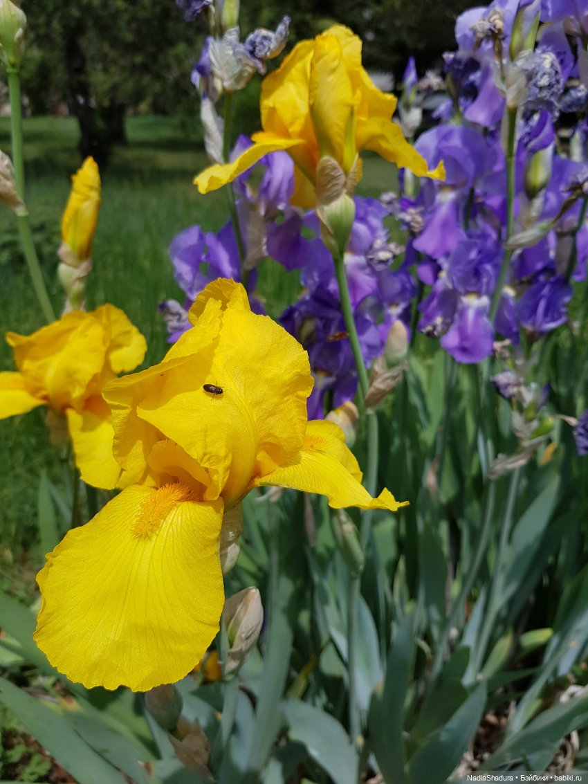 Для настроения ;)