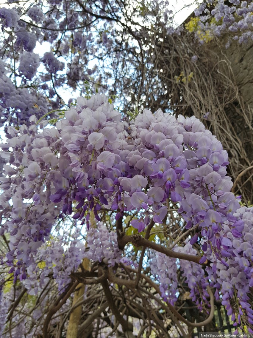 Привет тебе из Крыма, дорогая))