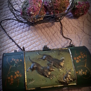 Ботанизирки