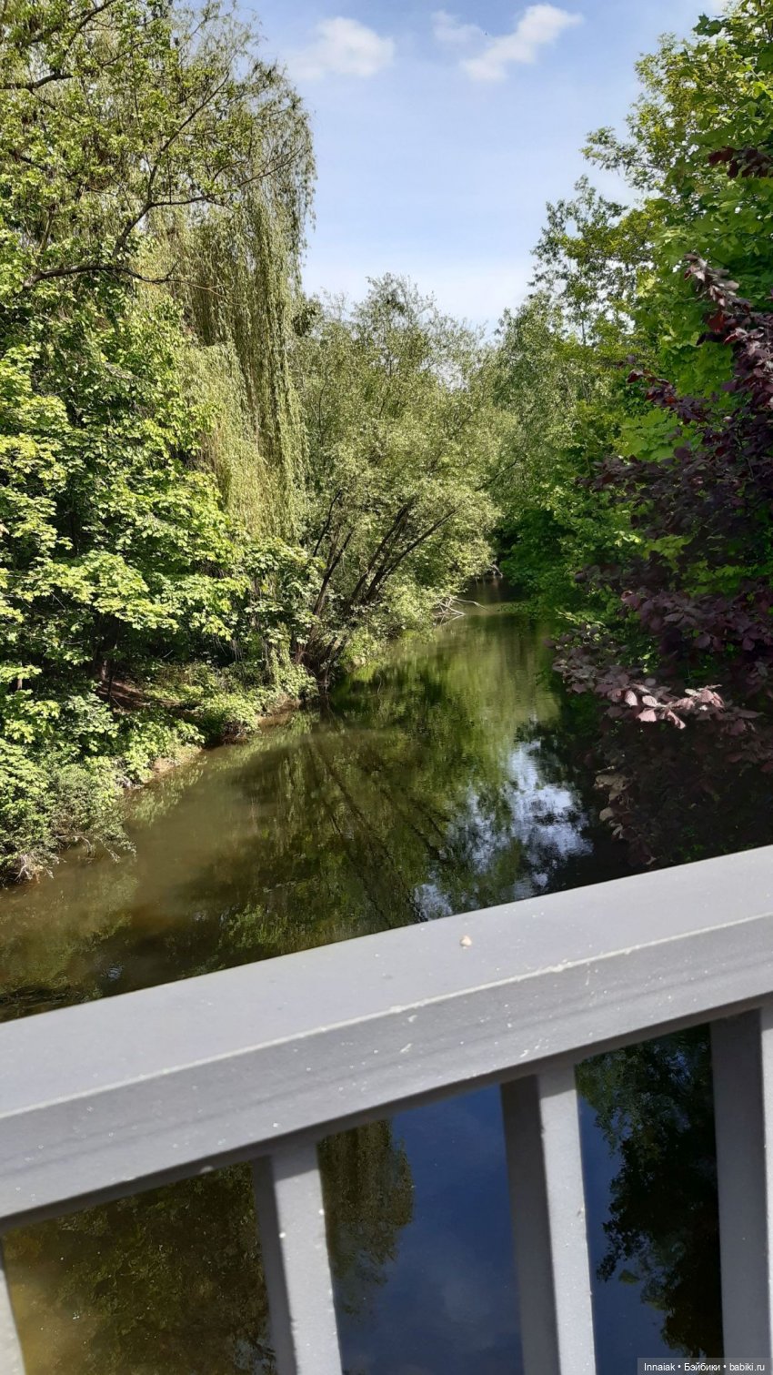 ... выставка... просто выставка (фото 2)