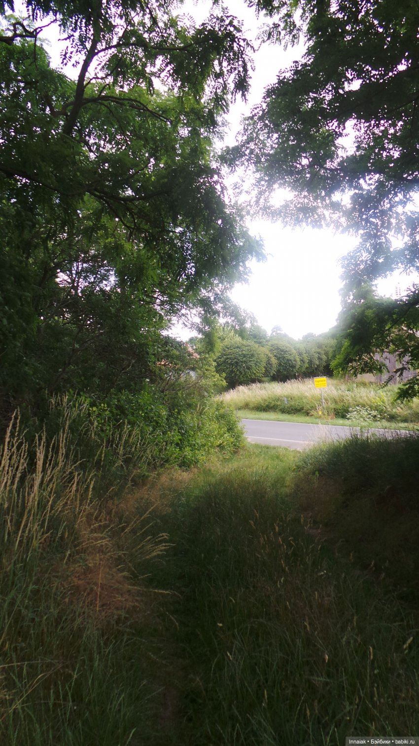 Лето, ах, лето — Антикварные куклы Simon & Halbig (S&H): Симон Хальбиг