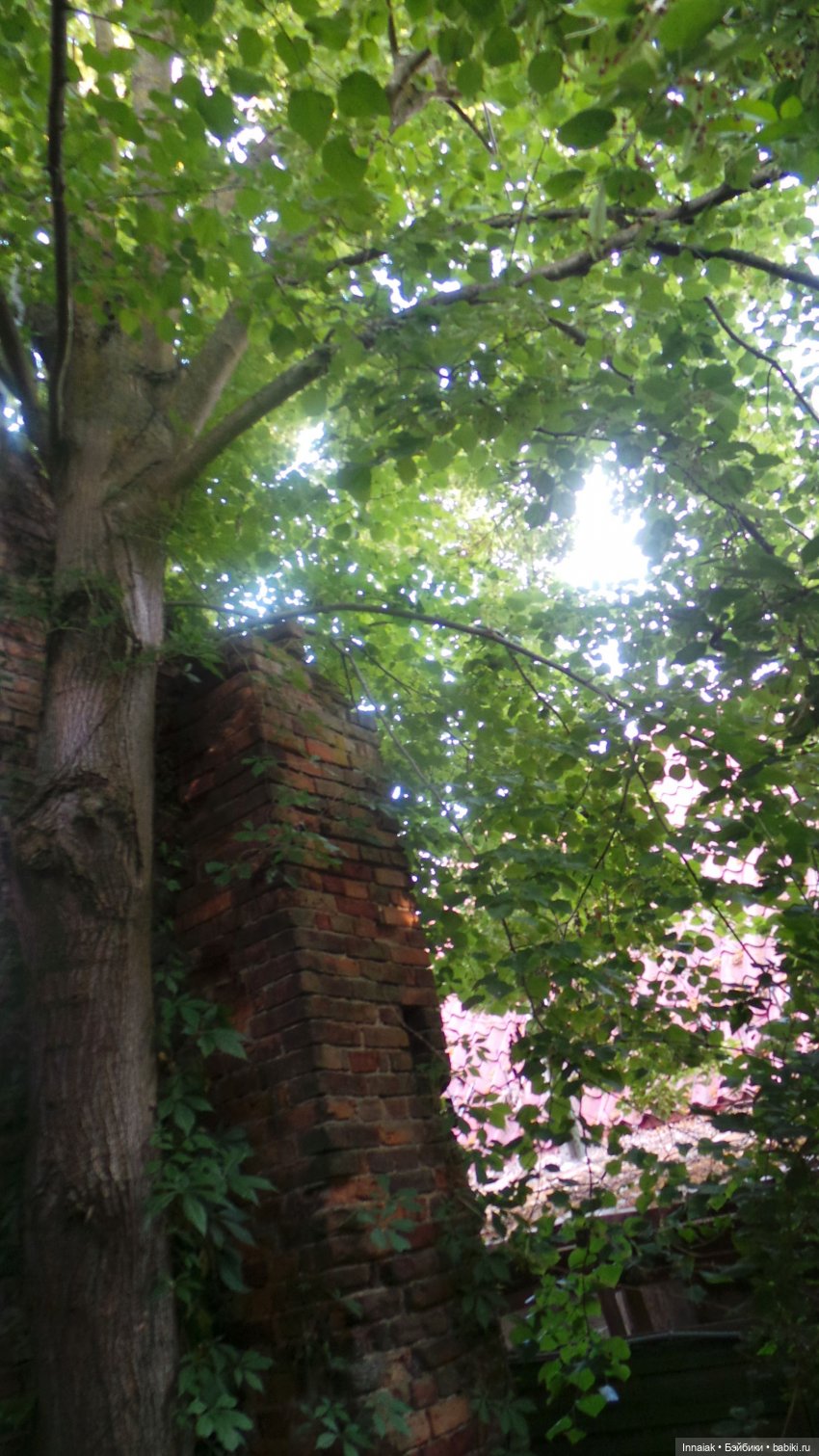 Лето, ах, лето — Антикварные куклы Simon & Halbig (S&H): Симон Хальбиг (фото 4)