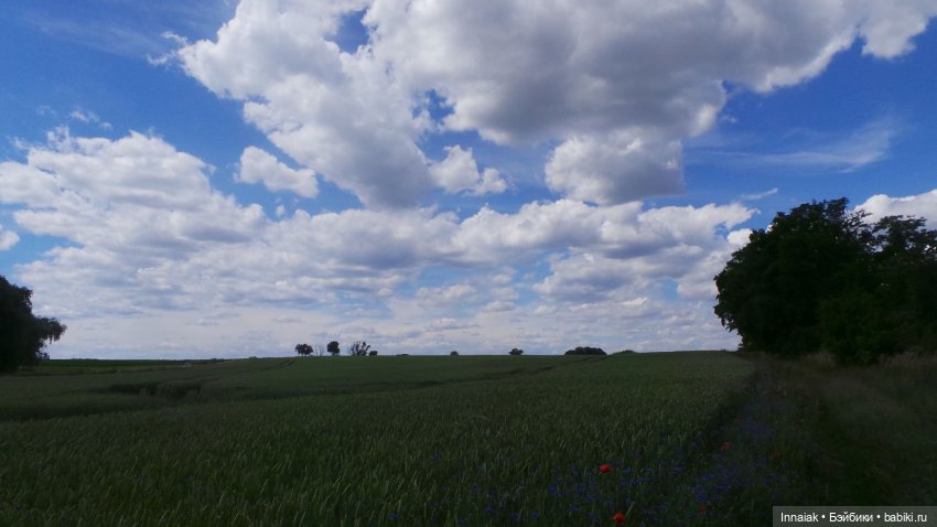 Лето, ах, лето — Антикварные куклы Simon & Halbig (S&H): Симон Хальбиг (фото 8)