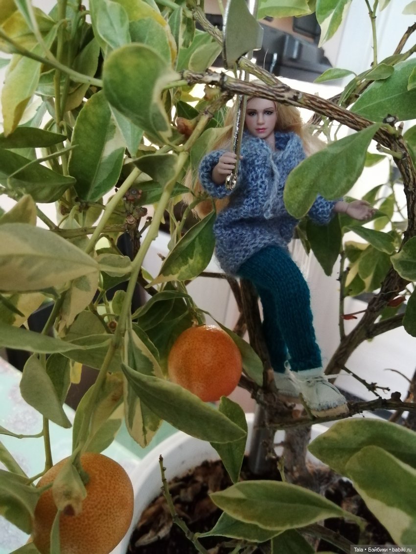 На ранчо все в трудах, в заботах (фото 3)